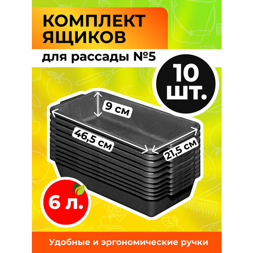 ������ ������ ���� ��� ������� 