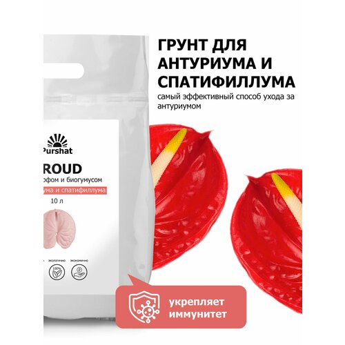 ������ ������ ����� ��� ��������: ����������, �������������, �������, �������������, ��������, ����������, �������(Purshat) 10 � ����