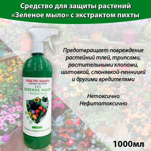 ������ ������ ������� ���� ����� 1 ����, �������� ��� ������ �������� �� ����������, �� ���, �������, ������. ����