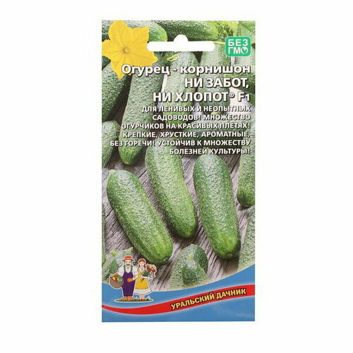 ������ ������ ������ ������ 