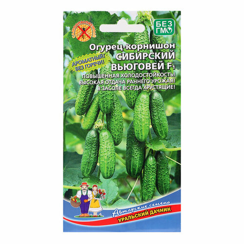 ������ ������ ������ ������ 