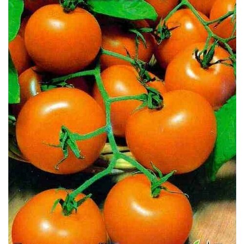 ������ ������ ����� �������� ��������� F1 0,05� ����