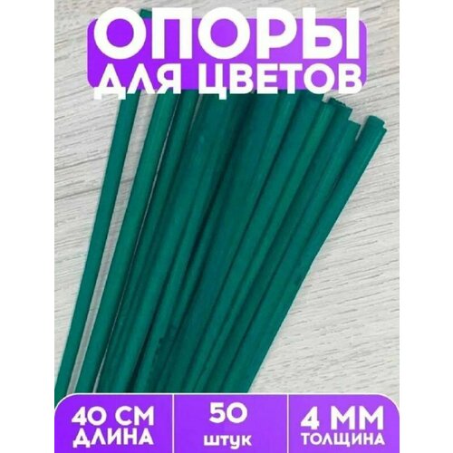 ������ ������ ������� ���������� ����� ��� ��������, ������ � �������, ����������� ����� 40 �� 50 ����, ������� ������� ������� 4 �� ����