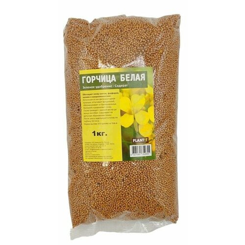 ������ ������ ������� ����� ������� 