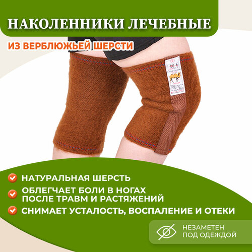 ������ ������ �������� ���������� Morteks, ������� / �� ���������� ������, 6 ����