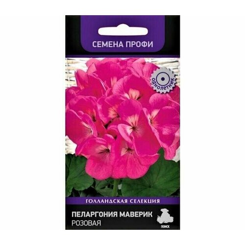 ������ ������ ������ ���������� ������� ������� F1 5�� ����� ����