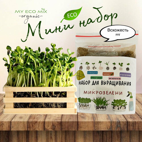 ������ ������ ���� ����� ����������� ( �������+������+�����-�����+�������� +�����) ����