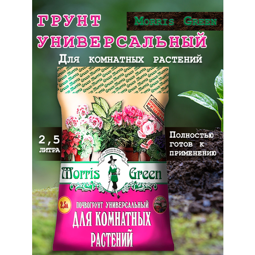 ������ ������ ����� ������������� ��� ��������� ������ 2,5 � ����