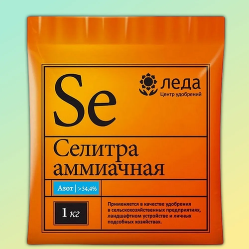 ������ ������ ��������� ��������� �������, 1 �� ����