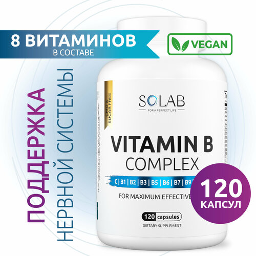 ������ ������ SOLAB �������� ������ � ��������: b1, b2, b3, b5, �6, b7, b9, �12 ��� ������ � ������ ����