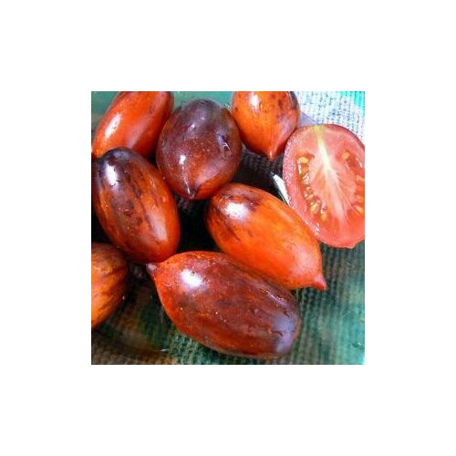 ������ ������ ������������� ������ ������ ���� ��� � ����� ����