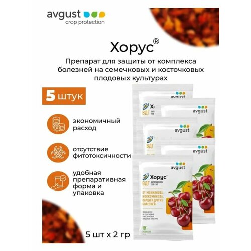 ������ ������ �������� AVGUST 