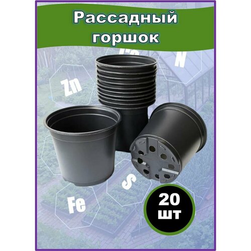 ������ ������ ������ ��������� �������, ����������� 1�, 20�� ����