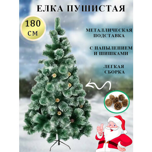 ������ ������ ������������� ���� �� ���. �������� ������ � ���. ������ 180 ��. ����