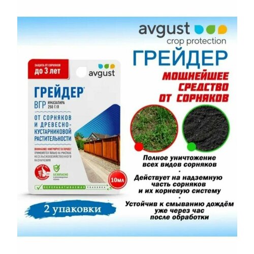 ������ ������ 2 ��. ������� 10�� ������ �� �������� � ��������-������������� �������������� ����