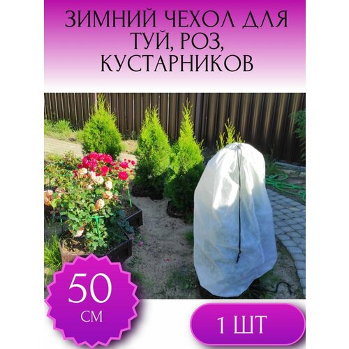 ������ ������ ������ ����� �� �������� ��� ��� � �������������, ��� ���, ��� ������ � �������� ������ 50*80 ��, 1 ��. ����