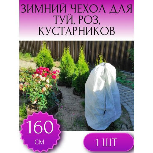 ������ ������ ������ ����� �� �������� ��� ��� � �������������, ��� ���, ��� ������ � �������� ������ 160*80 ��, 1 ��. ����