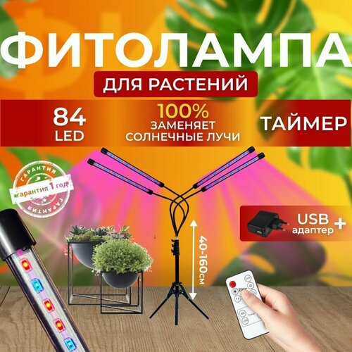 ������ ������ ��������� ��� ����������� �������� ������� ������ ������ �������������� �������� ������������ ��� ������ �� ������� � ��������, 4 ����� ����