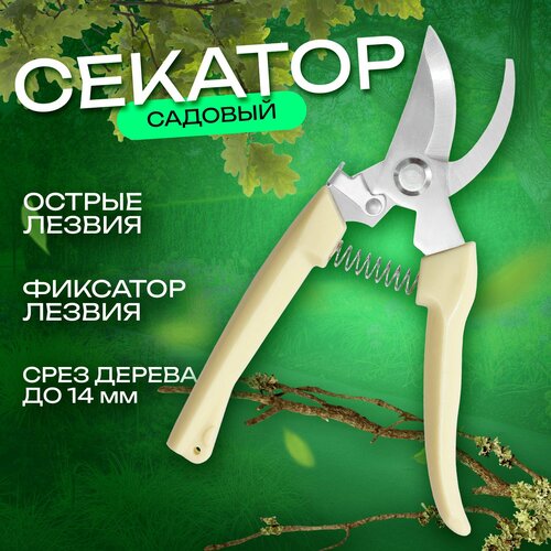 ������ ������ ������� ������� / ������� ������� / ������� ��� ��������, ������ ����