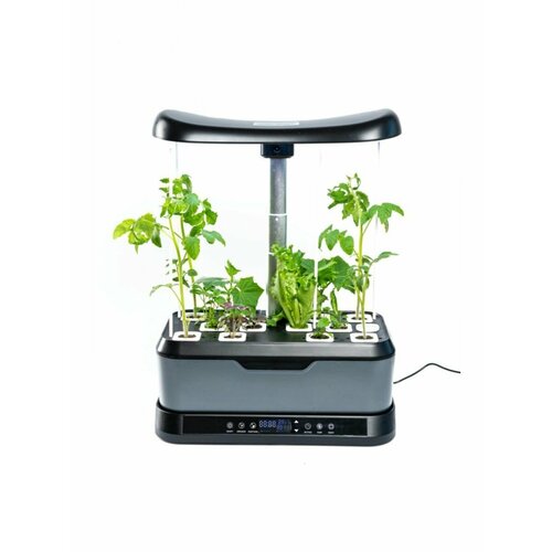 ������ ������ ����� ��� / ������������� ����� / ����������� ������� ����