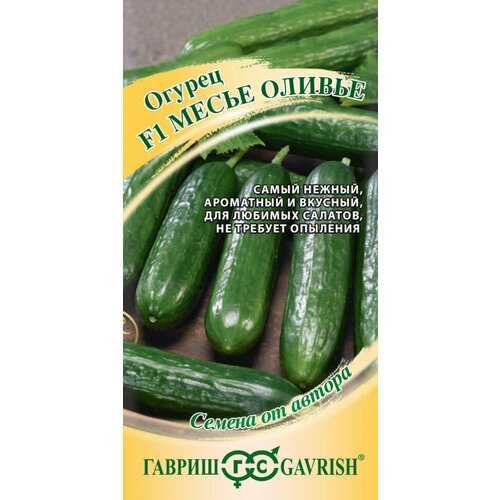 ������ ������ ������ ������ ����� ������ F1, 10��, ������, ������ �� ������ ����