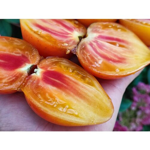 ������ ������ ������������� ������ ������ ������� ������ ������� ����