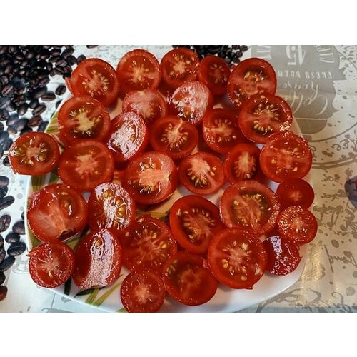 ������ ������ ������������� ������ ������ ��������� ����