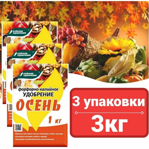 ������ ������ ��������-�������� ��������� ������� 1 ��*3��./ ������� ��������� ����