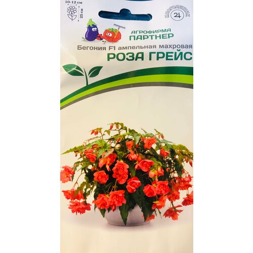 ������ ������ ������ ������� ��������� �������� 