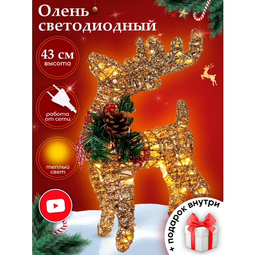 ������ ������ ����� ������������ 