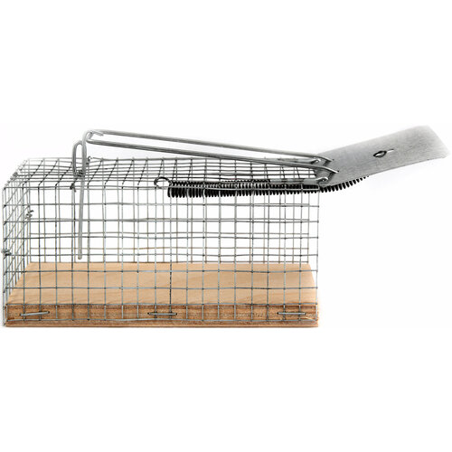 ������ ������ ��������� ����� ��� ������-������ ����������� 1 ��. ����