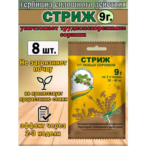 ������ ������ �������� ����� 9��, �� �������� ��������� �������� ����