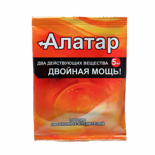 ������ ������ ������ ������� ���� (5��) ��-�� �� �������. ����, �������, ���, �������, �����������, ���. ����, ���� ����