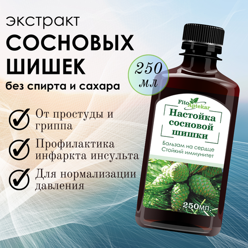 ������ ������ �������� �������� ����� 