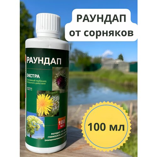 ������ ������ ������� �� �������� 100�� ����