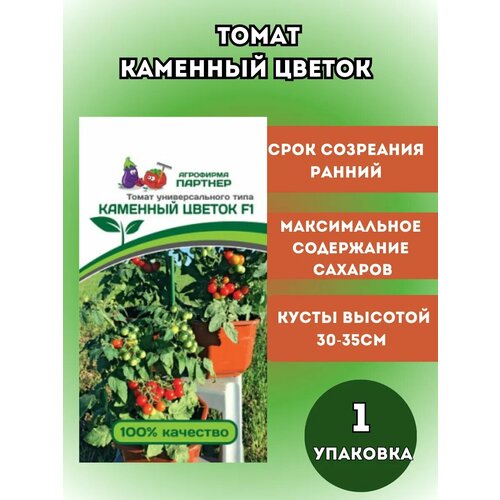 ������ ������ ����� �������� ������, 1 �� ����