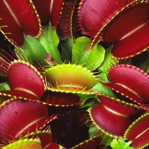 ������ ������ ������ ������ �������� ��������� 5 ��. ����