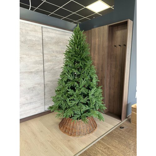 ������ ������ ���� ������������� ������������� 210�� ����