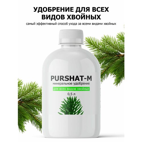 ������ ������ ��������� ��� ������� � ������������ ������ (Purshat) 500 �� ����