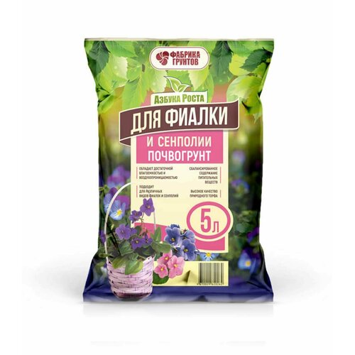 ������ ������ ���������� ������ ����� ��� ������ � �������� 5�, ������� ����� ����