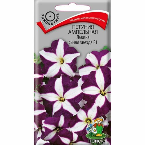 ������ ������ ������ ������� ���������. ������ ����� ������ F1 ����