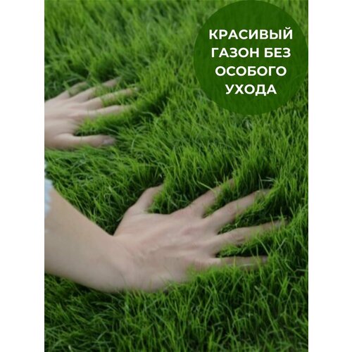 ������ ������ �������� ����� ������ ������ 3��, ���������� ����