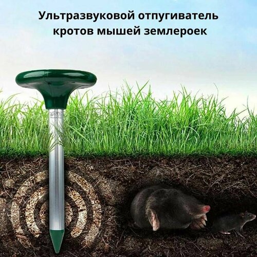 ������ ������ �������������� ������������ 