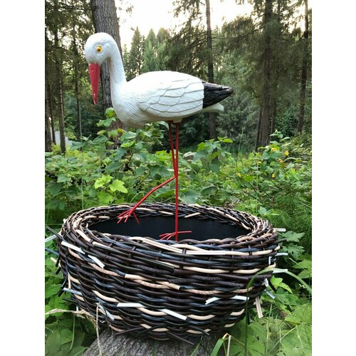 ������ ������ ������ � ������ ����