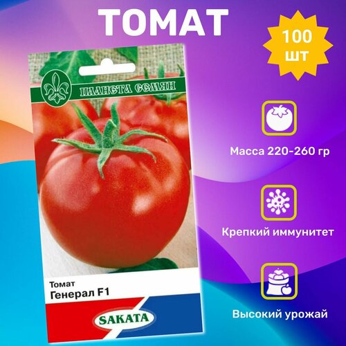 ������ ������ ������ ������ ������� F1 100��. ���������� �������� ����