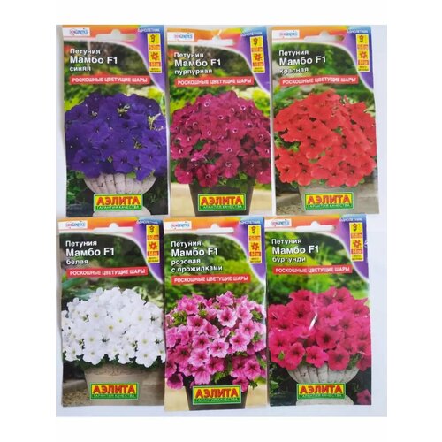 ������ ������ ������� ����� (6 ������ �� 7 �� �����) ����