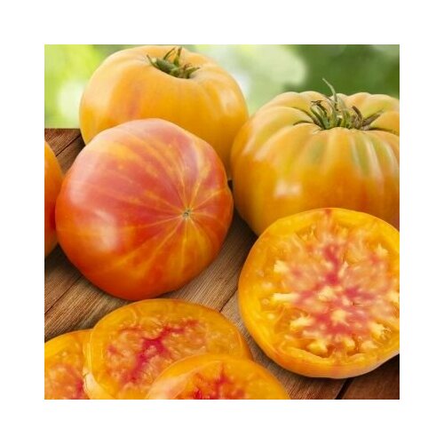 ������ ������ ������������� ������ ������ ������� ������� ����