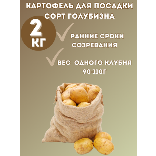 ������ ������ ��������� �������� 