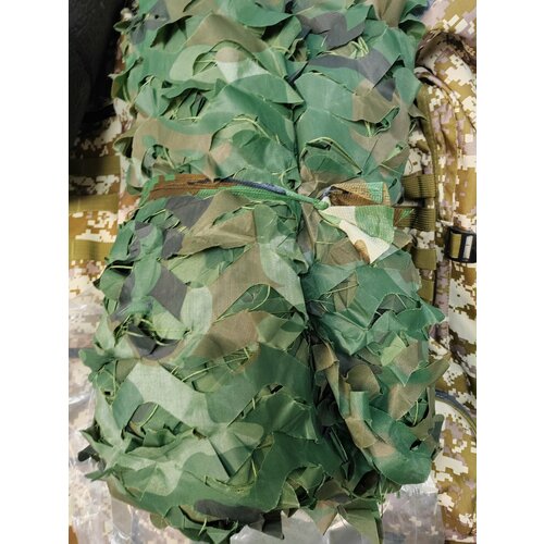 ������ ������ ���� ��������� �������������, 2�3 �����, ������� ����