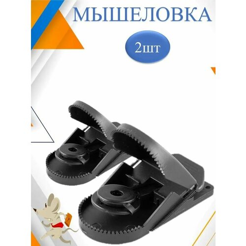 ������ ������ 2��! ��������� ������ �����������/�������� �� ����� ����